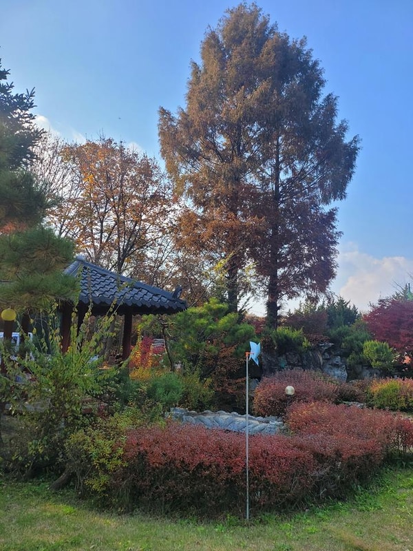 관광농원금산만악리수목원오토캠핑장 대표 사진