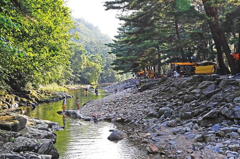 솔밭 캠프장 대표 사진