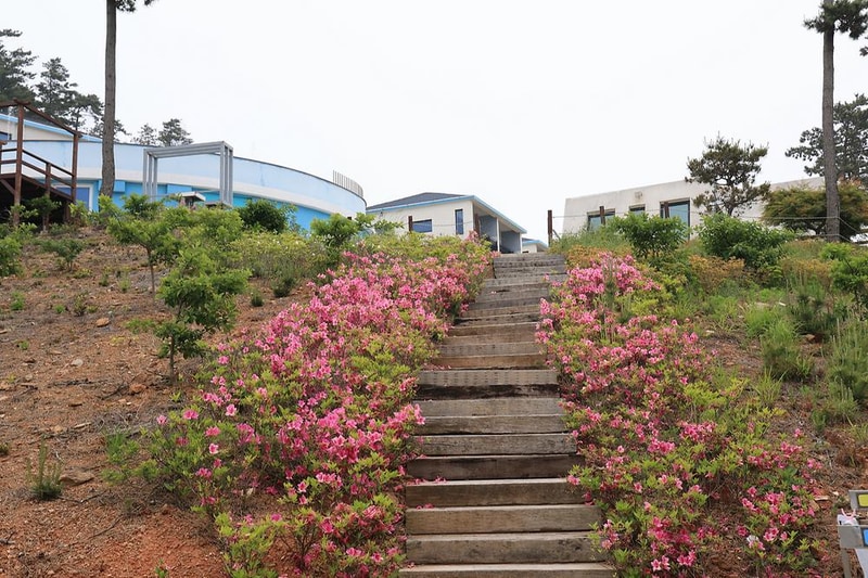 에스이(SE)클럽관광농원야영장 시설 사진 5