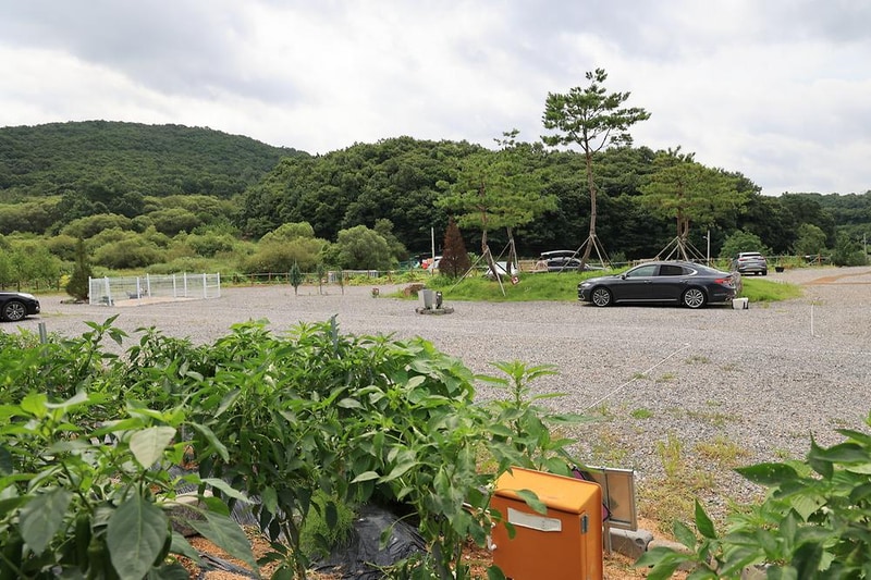 야호캠핑장 시설 사진 17