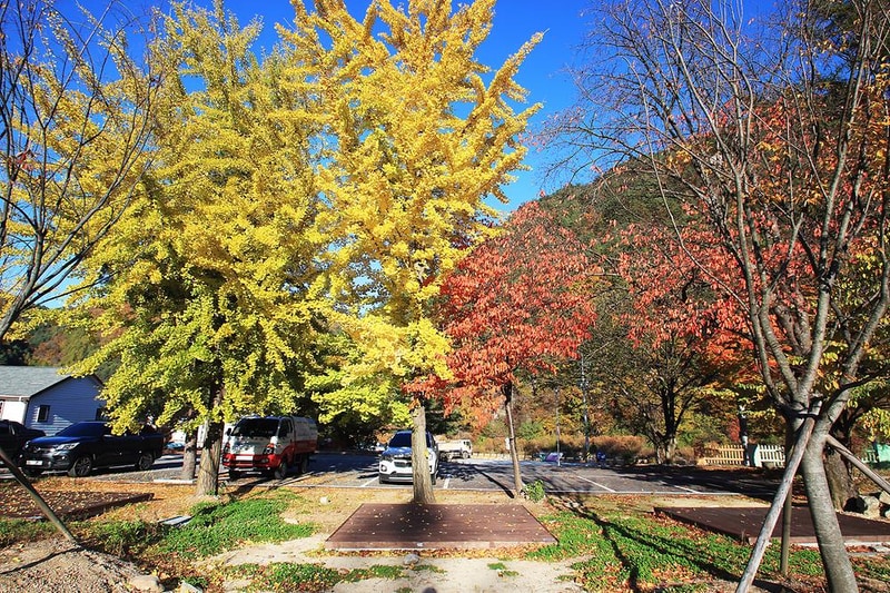 봉화열목어마을 시설 사진 18