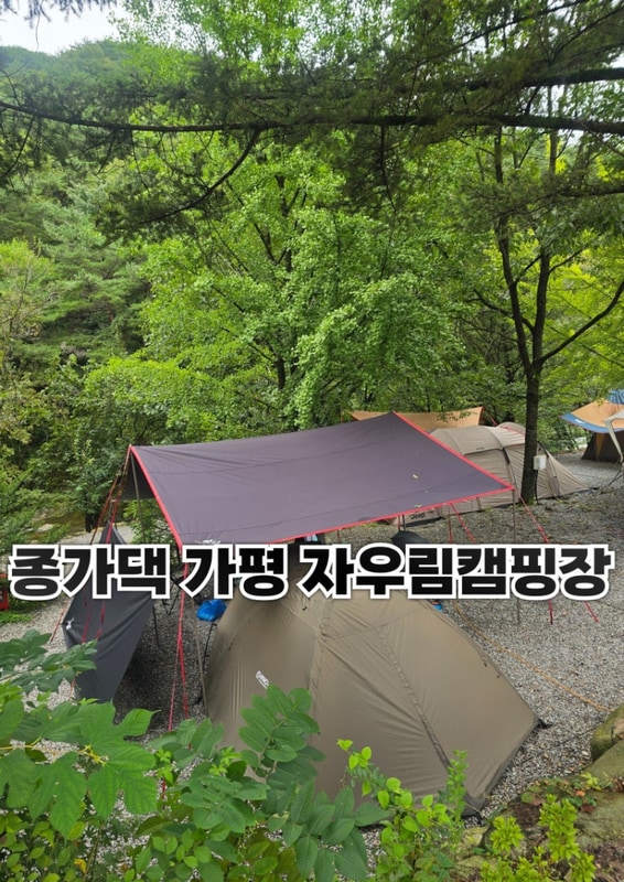 [종가댁가평]가평 " 자우림 캠핑장" 낚시·물놀이·불멍 3종...