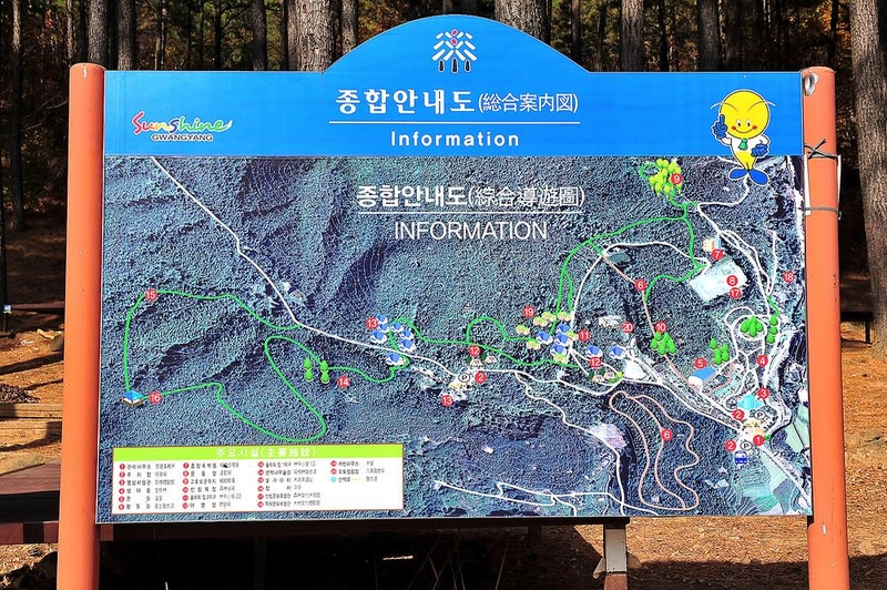 백운산 자연휴양림 자동차야영장 시설 사진 5