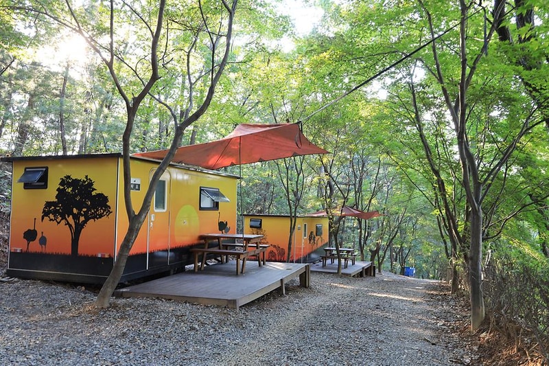 아프리카예술박물관 캠핑장 시설 사진 5