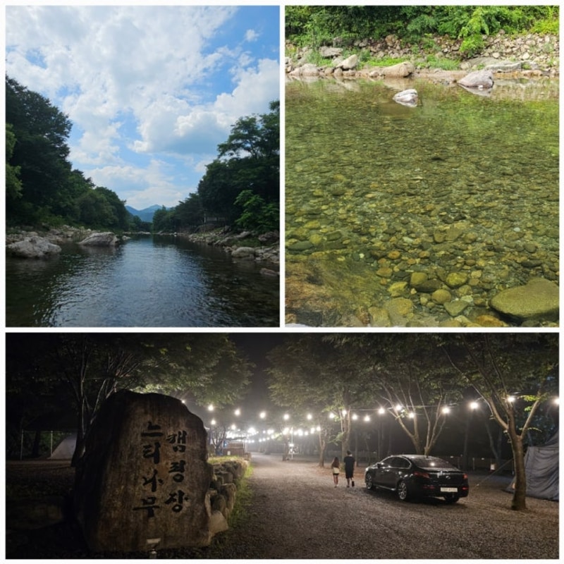 영월 느티나무 캠핑장 솔직 후기(온수수영장, 조식, 계곡...