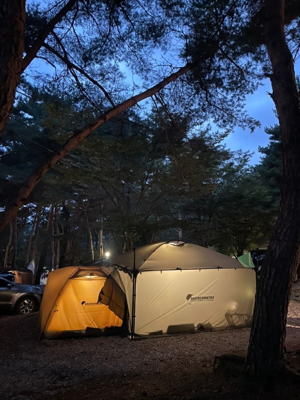 홍성 용봉산캠핑장 남당항 대하축제 전어회 대하구이
