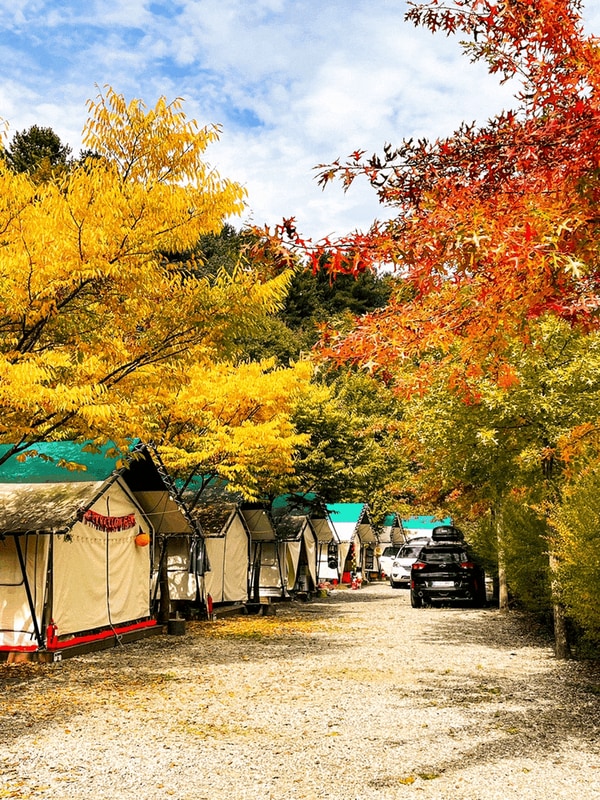가평 둥지캠핑장에서 만끽하는 가을 단풍 캠핑 후기