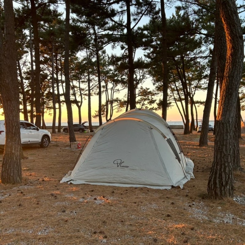 전북 고창 구시포 노을캠핑장 노지 캠핑 느낌의 오토캠핑장...