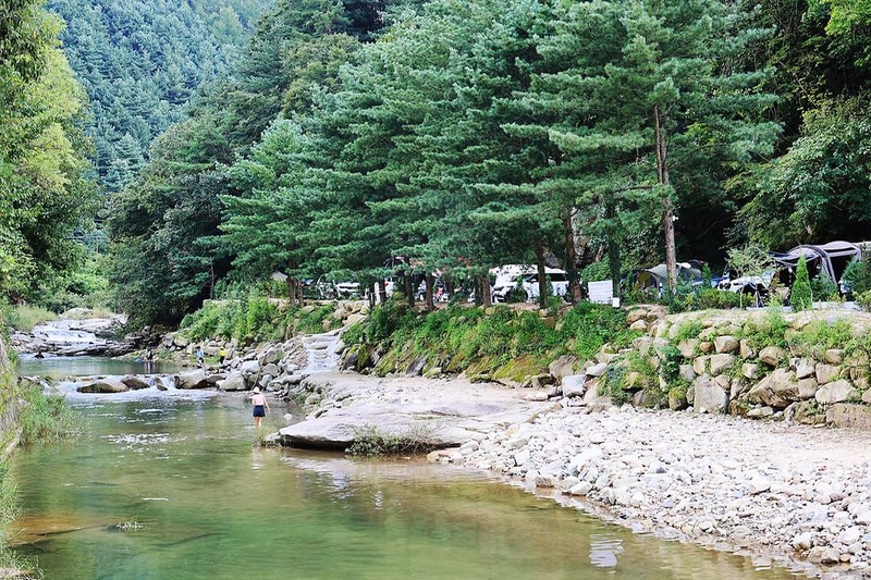 산정호수 돌고래 캠핑장 시설 사진 9