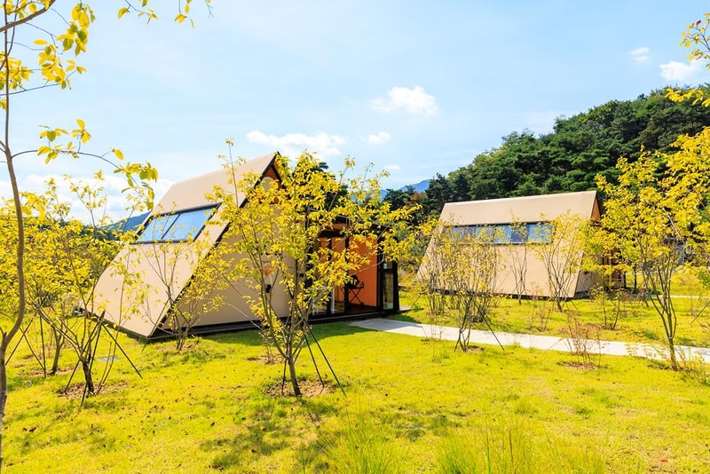 pause 글램핑 시설 사진 11