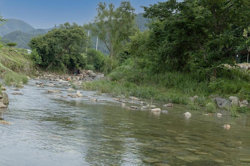양평힐링계곡 오토캠핑장 시설 사진 8