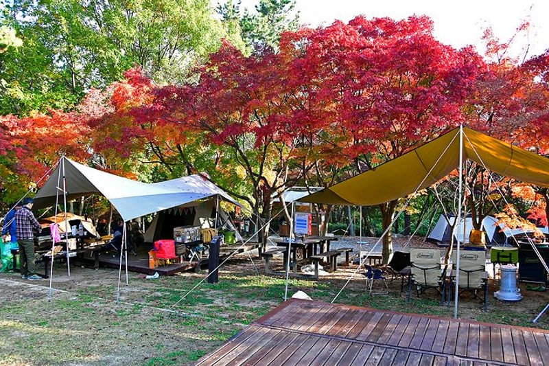 월출산국립공원 천황야영장 대표 사진