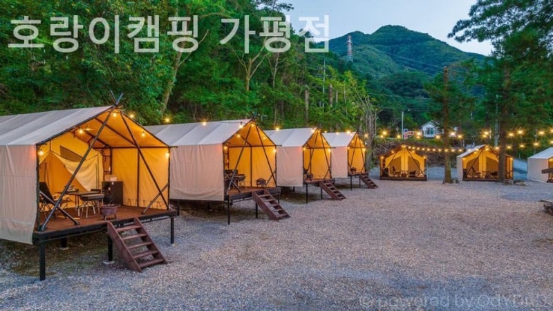 가평 캠핑장 호랑이캠핑 가평점 아이랑 갈만한 곳