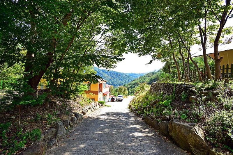 좋은세상리조트 시설 사진 10