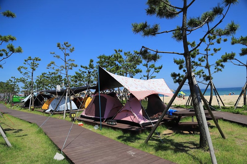 동산포 캠핑장 시설 사진 20