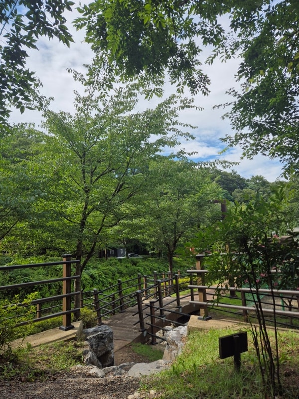 한 장의 이야기 - 포항국민여가캠핑장 체험기 with 타로카드 -