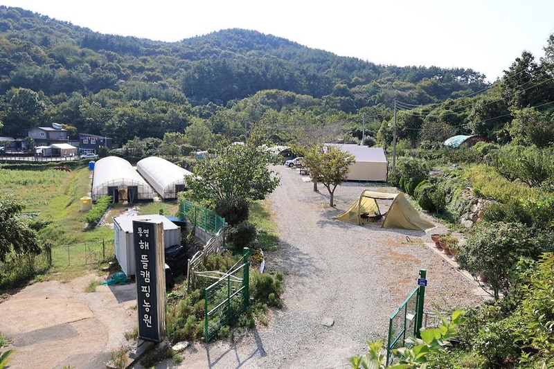 통영해뜰캠핑농원 시설 사진 7