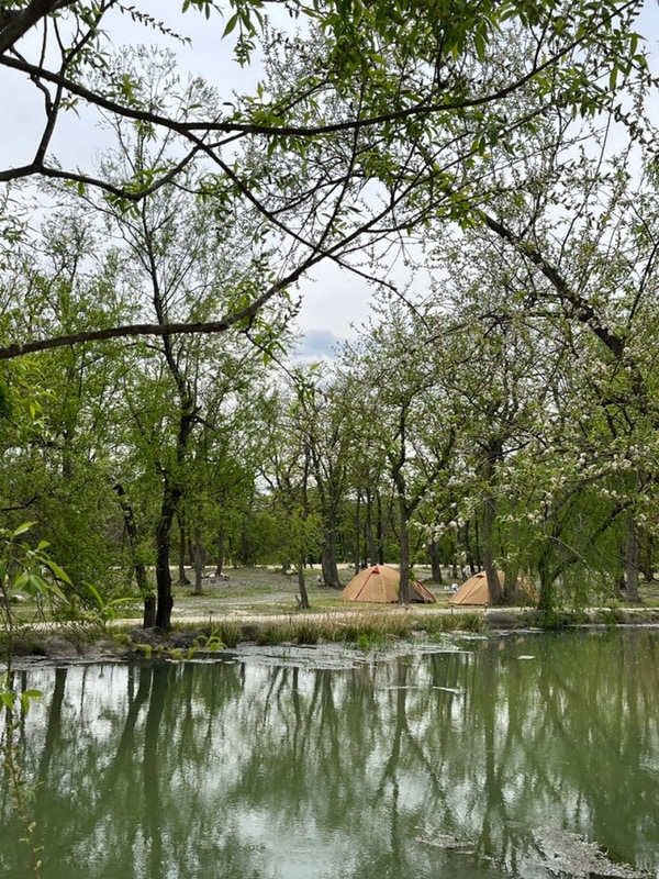 > 아빠의 첫 차박을 위해 떠난 참새 둥지 야영장