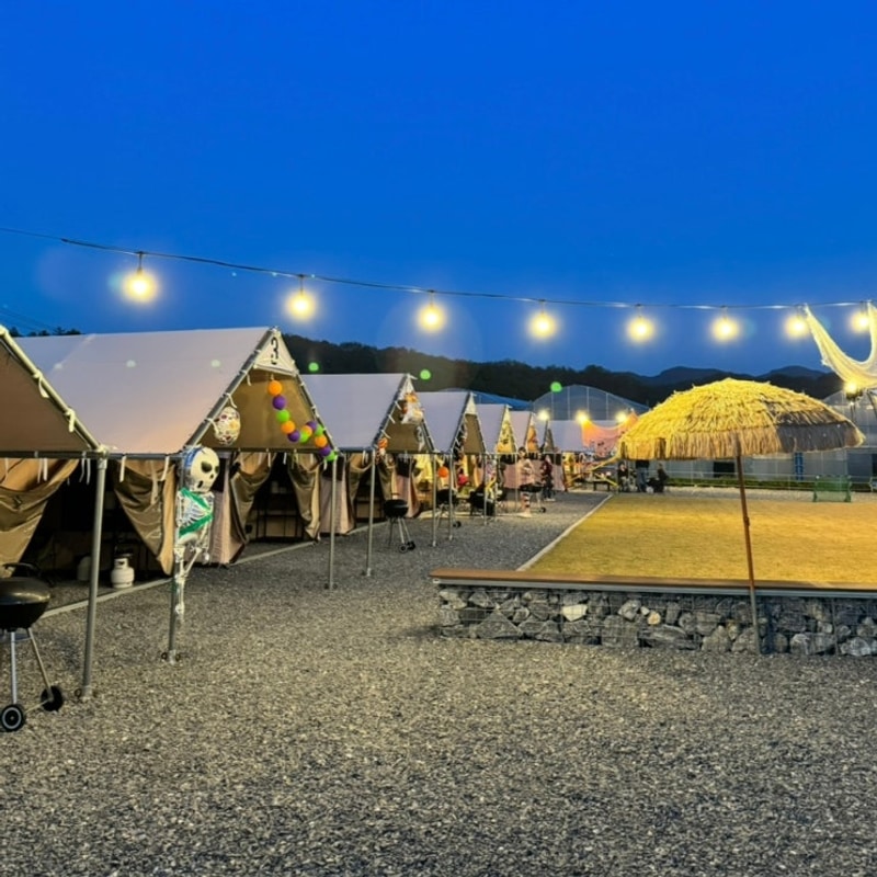 감성 제대로 즐기기! 제천 팜데이/제천 셀프 바베큐/제천 캠핑 식당