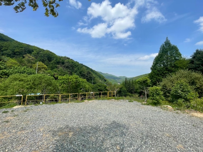 천안트리하우스 글램핑장 리모델링 오픈❤️