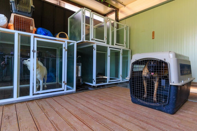 젠틀펫 파라다이스 시설 사진 5