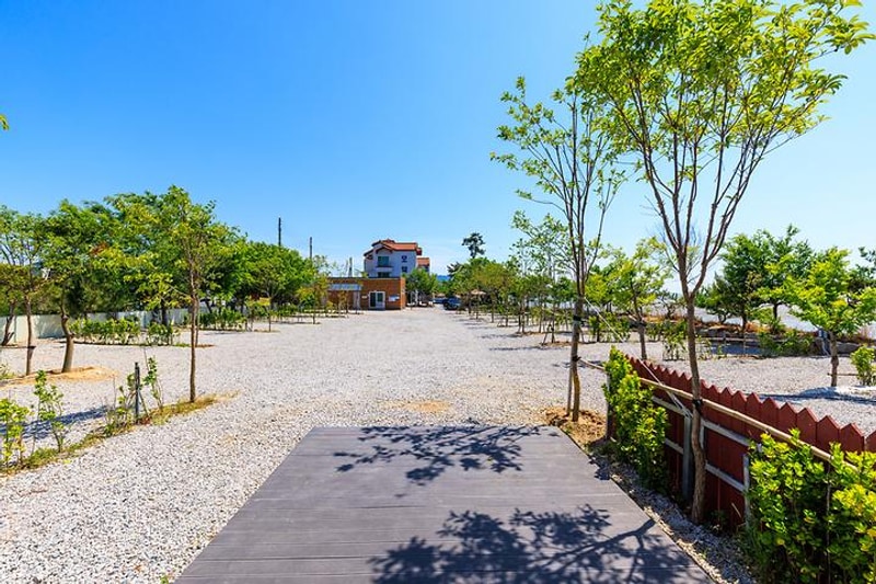 바다야영장 대표 사진