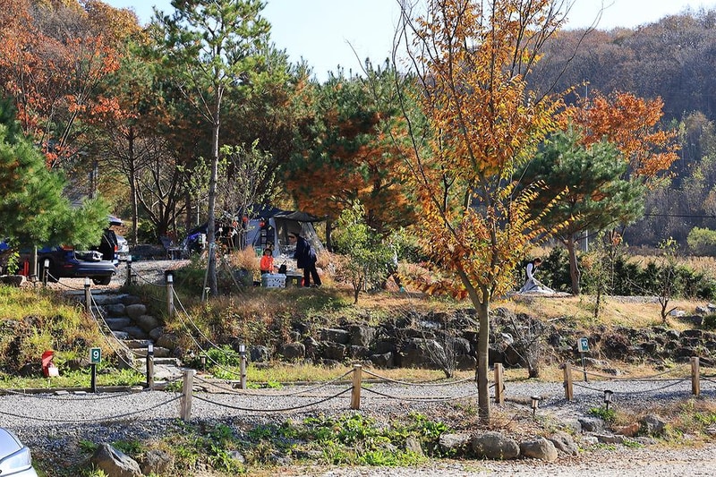 라곰 시설 사진 14