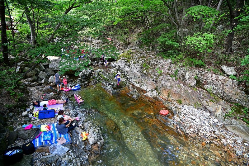 국립운장산자연휴양림 야영장 시설 사진 10