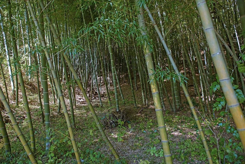 담양금성산성 오토캠핑장 시설 사진 6