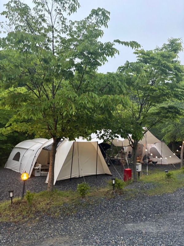 [제천 캠핑장 추천] 선녀와 나무꾼 캠핑장 솔직 후기 & 예약 꿀팁