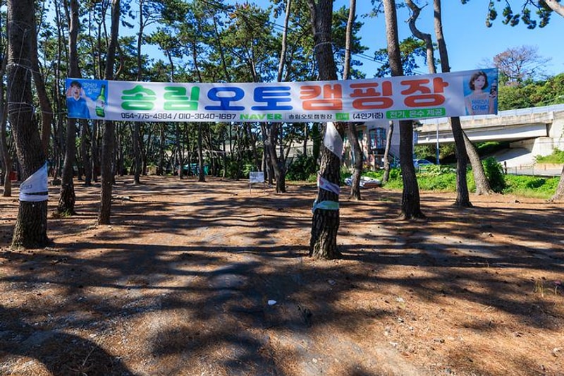송림오토캠핑장 대표 사진