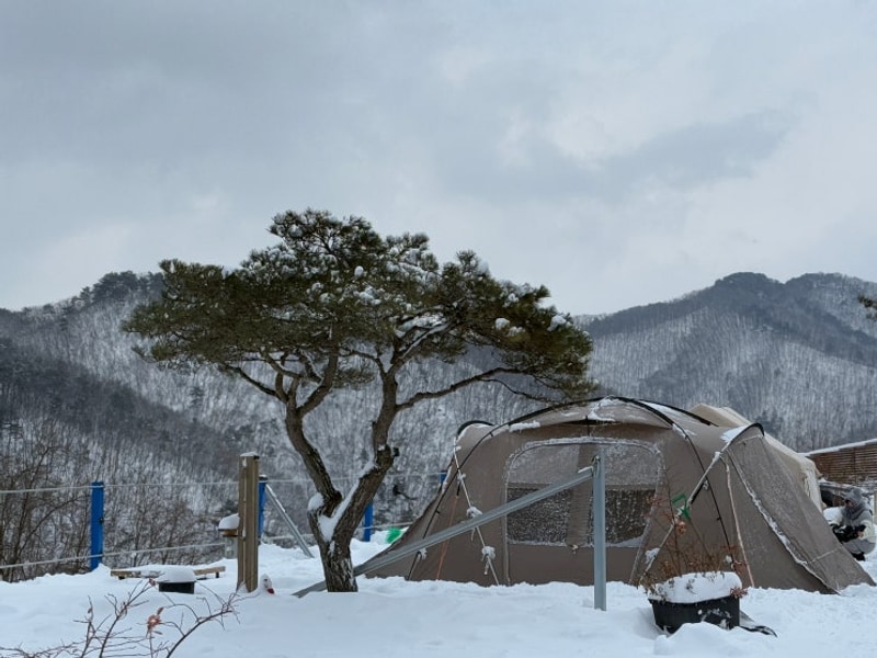 낭만뚜스따스띠를 찾다... / 충주호더쉼캠핑장, 명당사이트