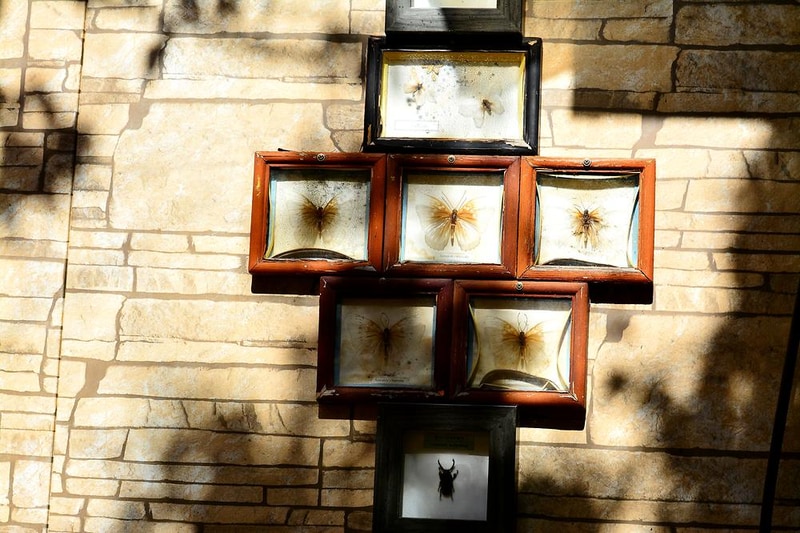 알파고글램핑 시설 사진 18