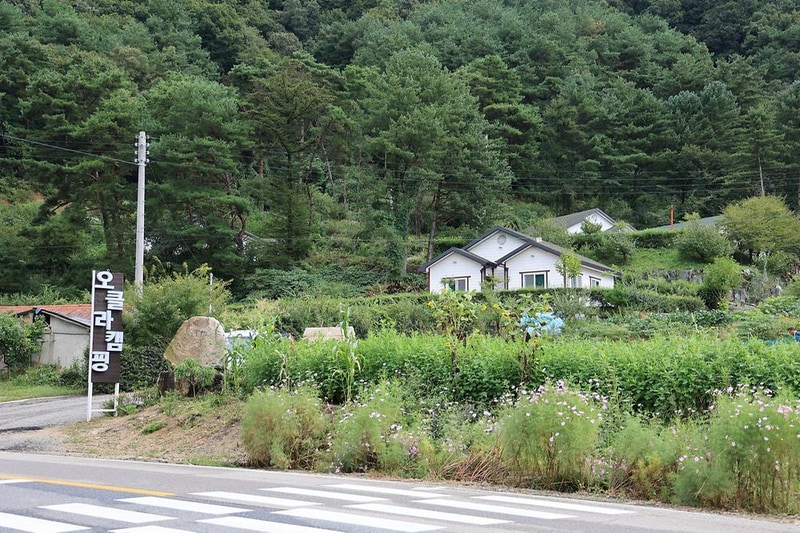 오클라 캠핑장 시설 사진 8