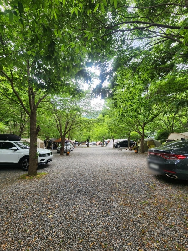 강원도 영월 캠핑장 [길캠프]