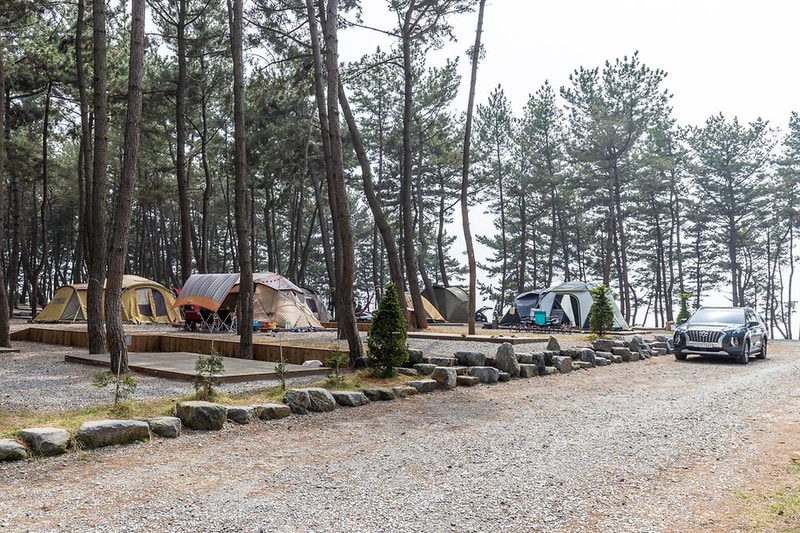 장항오토캠핑장 시설 사진 7