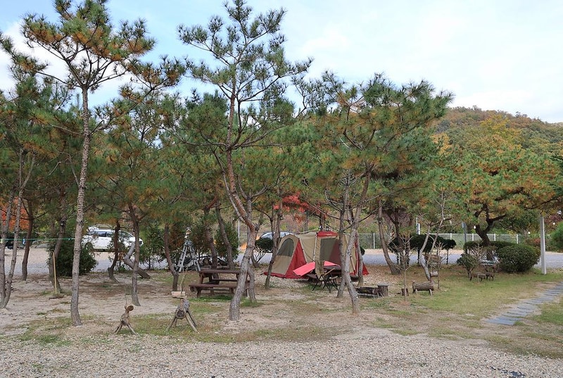 달사랑 캠핑장 시설 사진 15