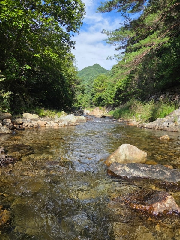 경북 봉화 구마계곡 2박3일 캠핑 (봉화별캠핑장)-2일