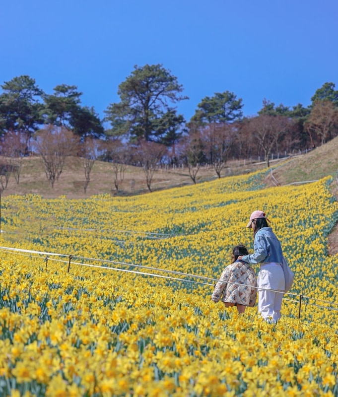 지리산 치즈랜드 , 호수공원 오토캠핑장 전남 구례 아이와 함께...