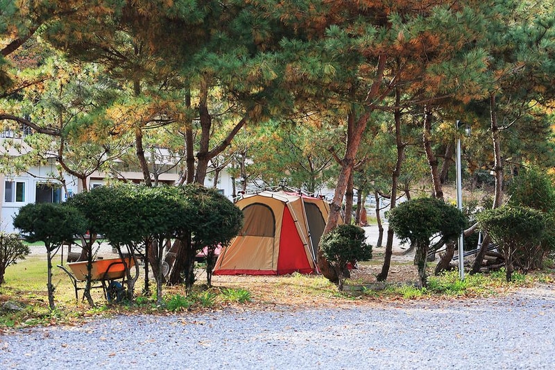 달사랑 캠핑장 시설 사진 12