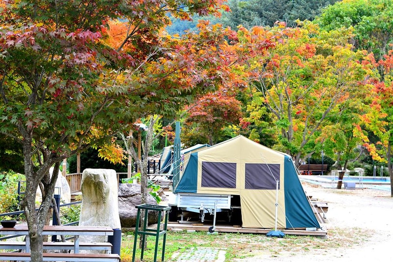 코끼리캠핑장 시설 사진 7