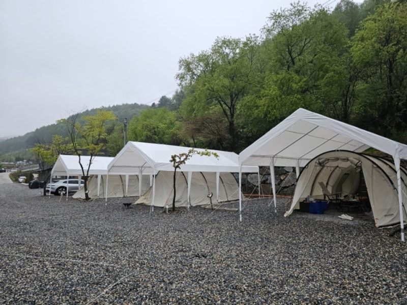 강원도 횡성 캠핑장 월현포레스트 이지캠핑 깔끔한 오토캠핑장...