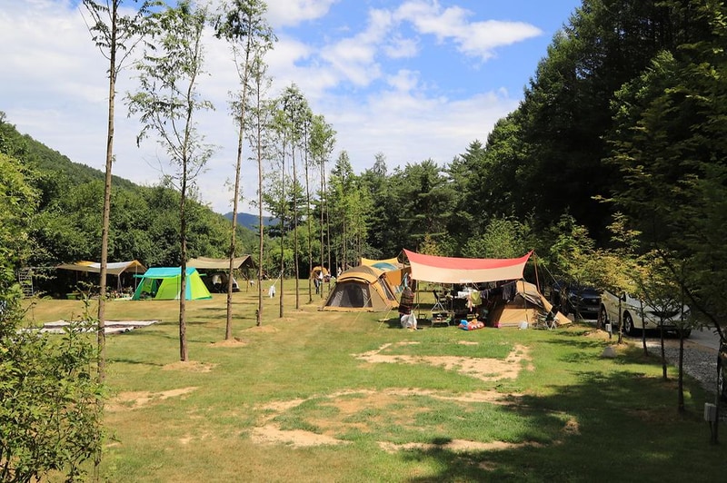 피노키오관광농원 야영장 시설 사진 6