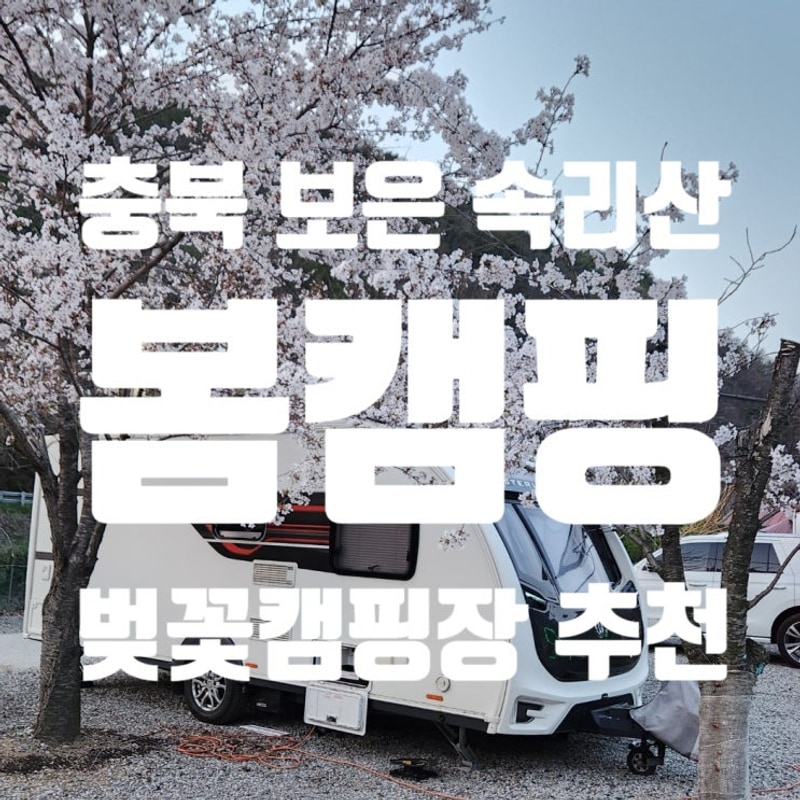 가족과 함께 즐기는 속리산알프스캠핑장펜션 벚꽃캠핑과 함께...