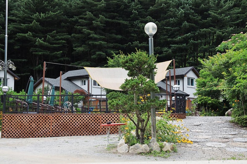 산책 시설 사진 8