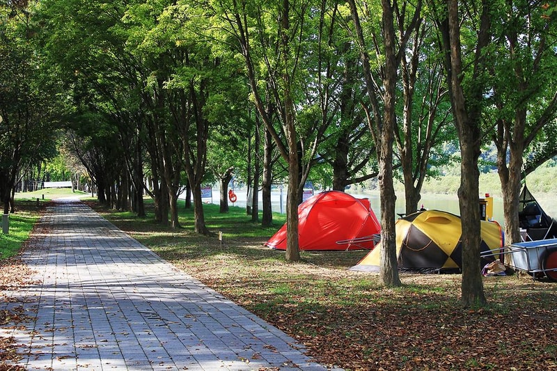 송호국민관광지 야영장 시설 사진 10