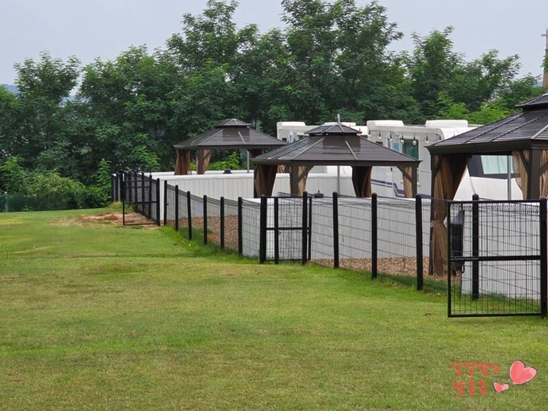 애견동반 카라반 초정힐링캠핑장