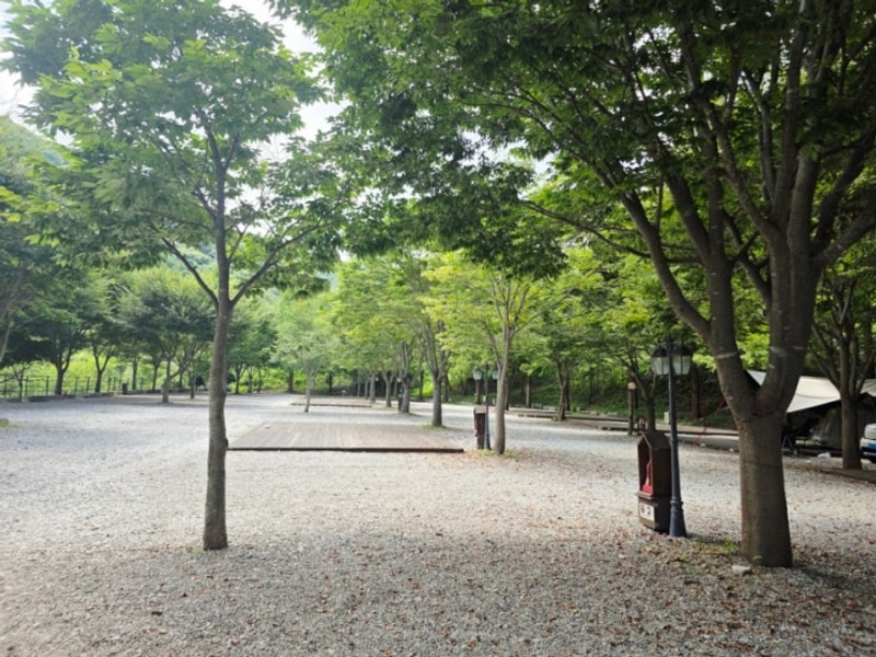 함양 캠핑장 계곡 캠프더포레