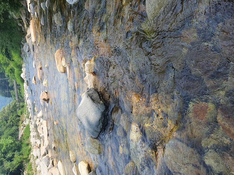 하우스 캠핑장 시설 사진 12