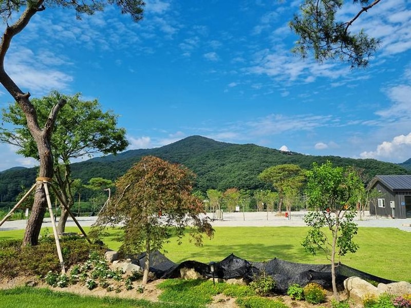 소리의섬 대표 사진